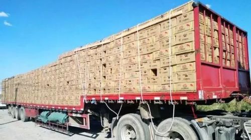 华南部分地区农产品滞销:运输过程中障碍重重